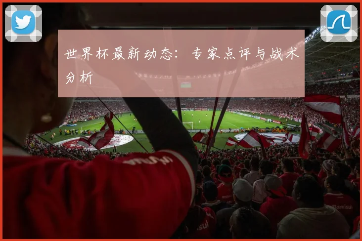 世界杯最新动态:专家点评与战术分析