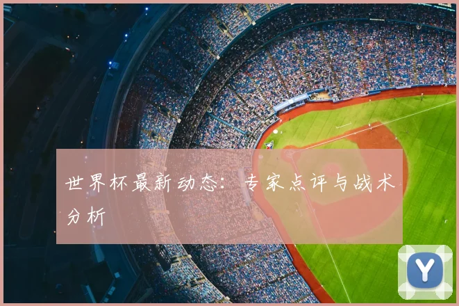 世界杯最新动态:专家点评与战术分析